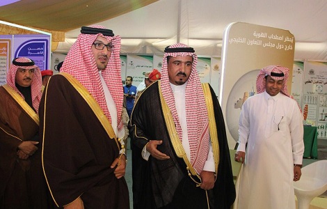 محتويات