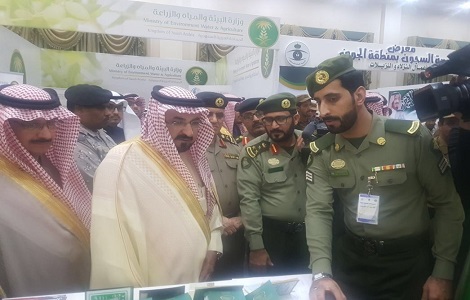 الجوازات