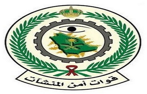 أمن المنشأت